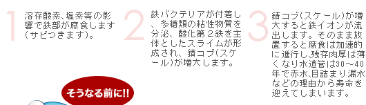 zǓ̕H