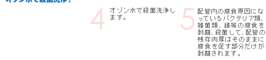zǓ̕H