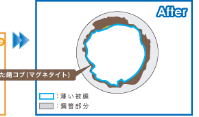 zǓ̏
