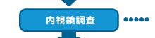 ǘVx菇